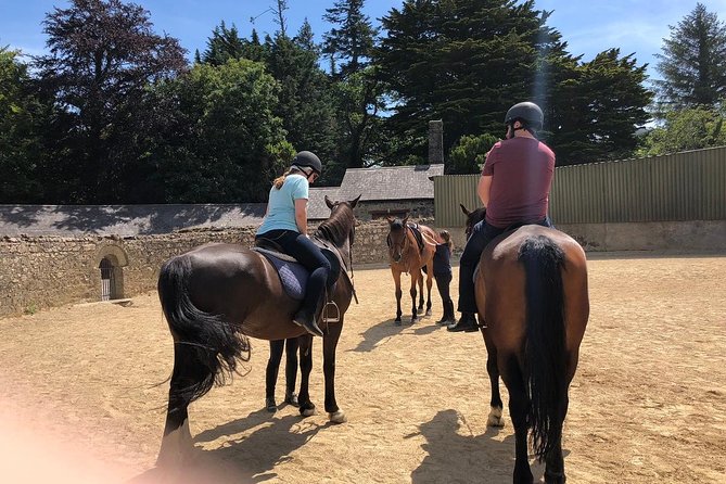 Dublin to Wicklow and Glendalough Guided Tours With Horse Riding - Cancellation Policy