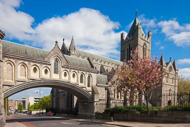 Dublin – Top 10 City Highlights Walking Tour - Review Highlights