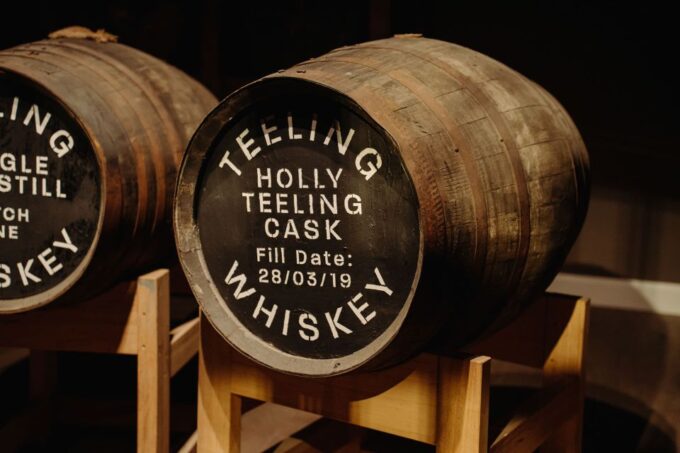 Dublin: Trinity College, Castle, Guinness and Whiskey Tour - Trinity College Guided Tour