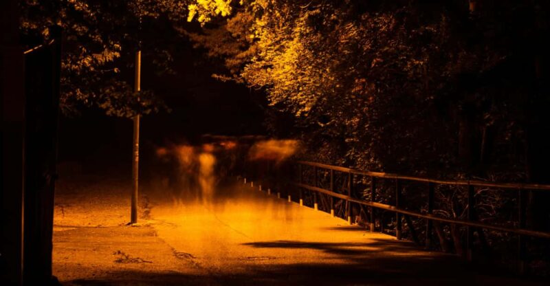 Dublin Walking Tour: Ghosts & Haunted Places - Key Points