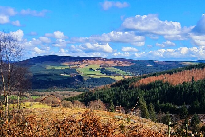 Dublin & Wicklow Mountain Pub Tour Small Group Tour Max 15 People - Tour Schedule and Duration
