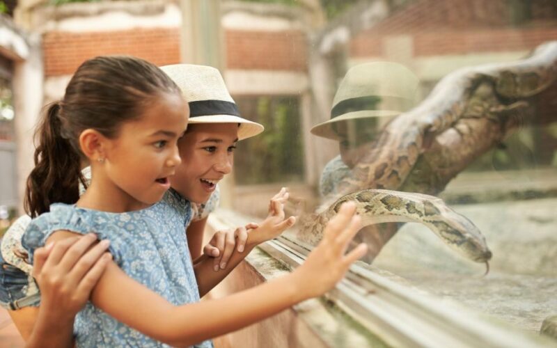 Dublin Zoo Skip-the-line Tickets and Private Transfers - Animal Exhibits