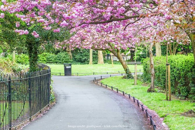 Dublins Literary History: Private Off The Beaten Path Walking Tour - Local Recommendations and Insights