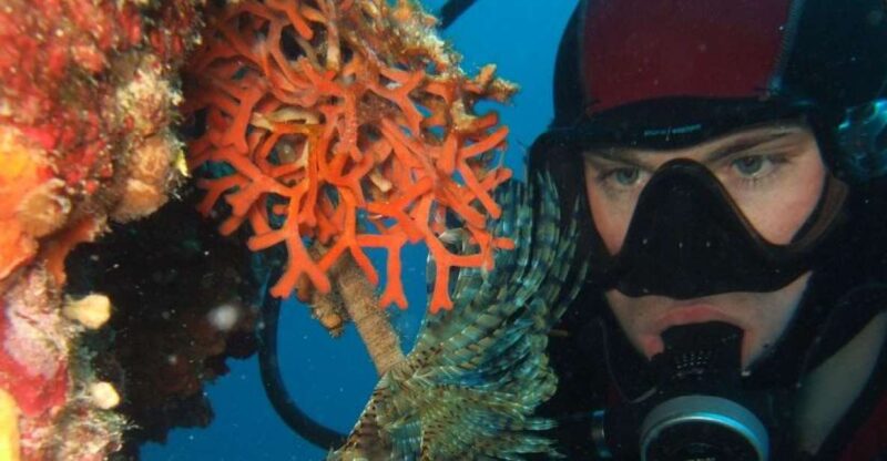 Dubrovnik: 1-Day Diving Package - Included Dives and Dive Sites