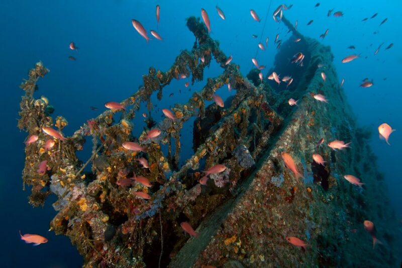 Dubrovnik: 1-Day Diving Package - Diver Experience Requirements