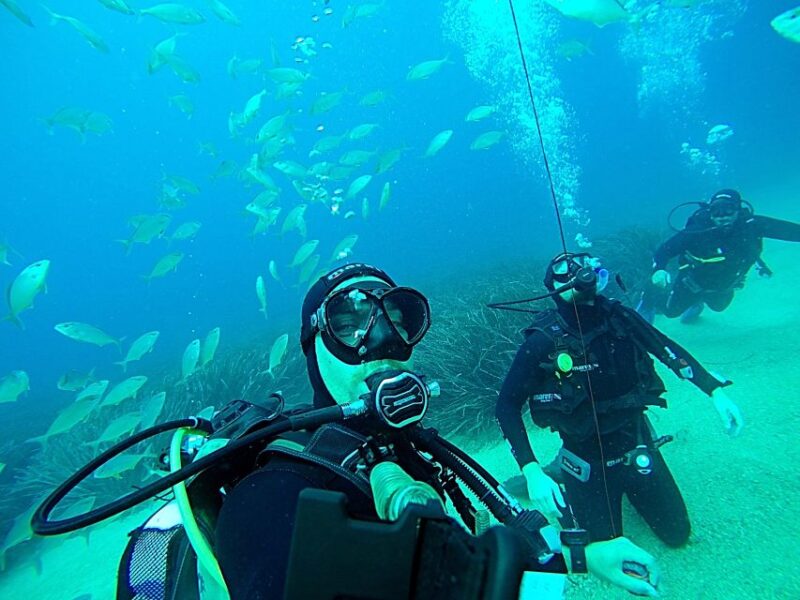 Dubrovnik 2-Hour Uncertified Divers Introductory Dive - Meeting Point