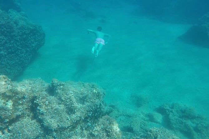Dubrovnik Blue Cave and Sandy Beach ŠUnj Boat Tour With Drinks - Confirmation and Traveler Recommendations
