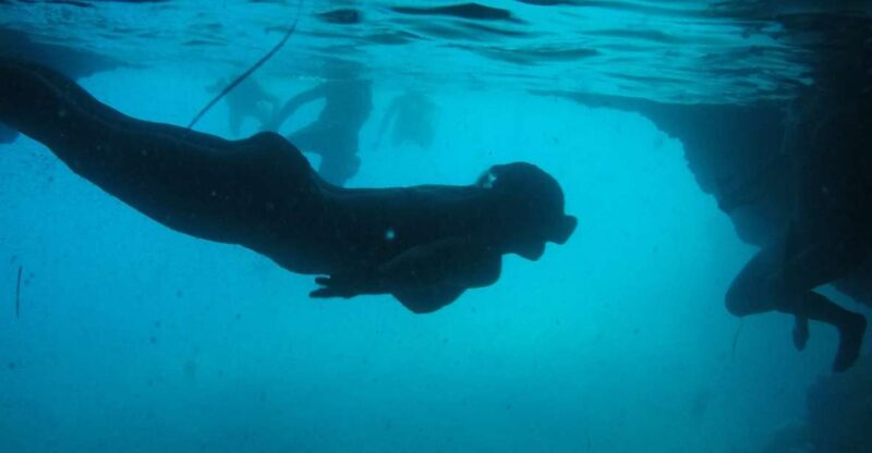 Dubrovnik: Blue Cave & Sunj Beach Boat Tour With Drinks - Good To Know