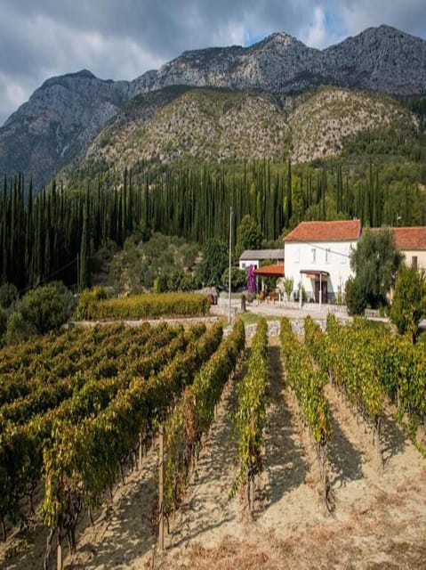 Dubrovnik: Brajković Winery and Ljuta River Tour With … - Included in the Tour