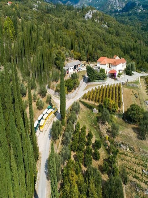 Dubrovnik: Brajković Winery and Ljuta River Tour With … - Booking and Cancellation Policy