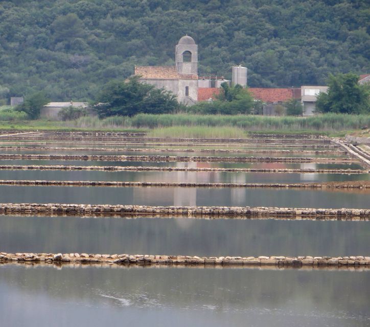 Dubrovnik: Day Trip to 3 Peljesac Wineries With Tastings - Good To Know