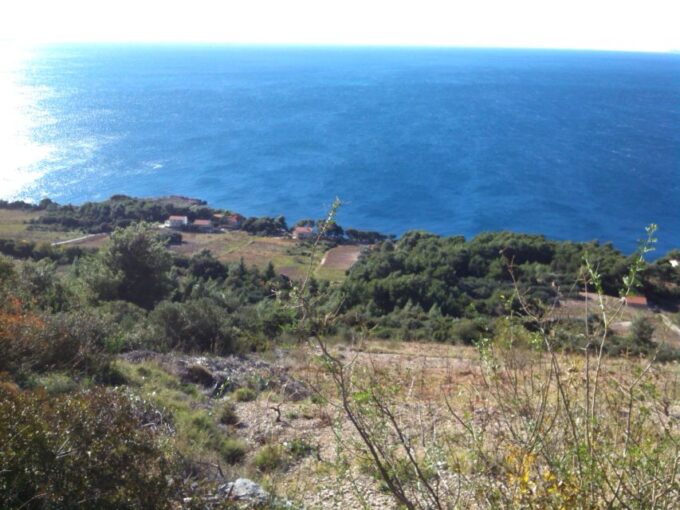 Dubrovnik: Deep Red Wine Tour of Pelješac - Exploring Ston and Wine Cellars