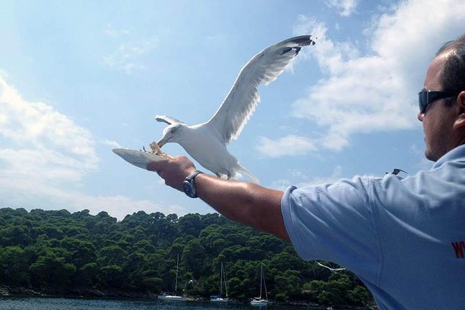 Dubrovnik Elafiti Islands Cruise With Lunch, Drinks and Pickup - Enjoying the Cruise