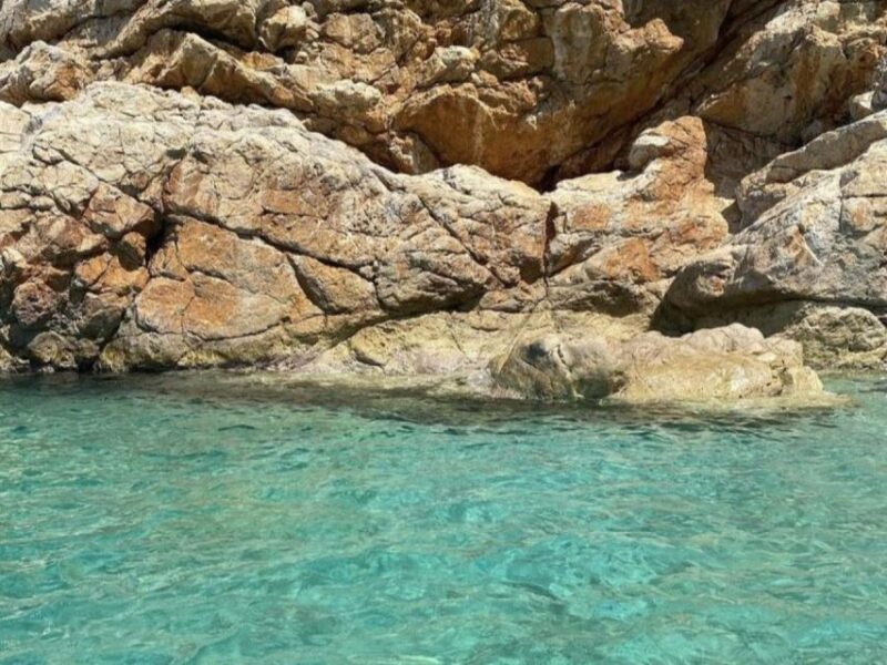 Dubrovnik: Full Day Tour Elaphite Islands - Booking Information