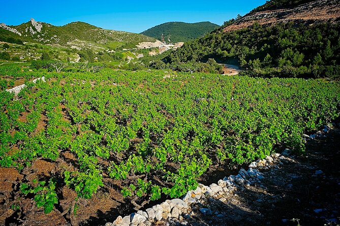 Dubrovnik Hinterland Private Tour With Culinary Experience - Dessert Delights