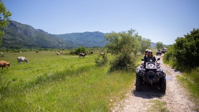 Dubrovnik: Kojan Koral ATV Quad Safari - Getting to the Pickup Location