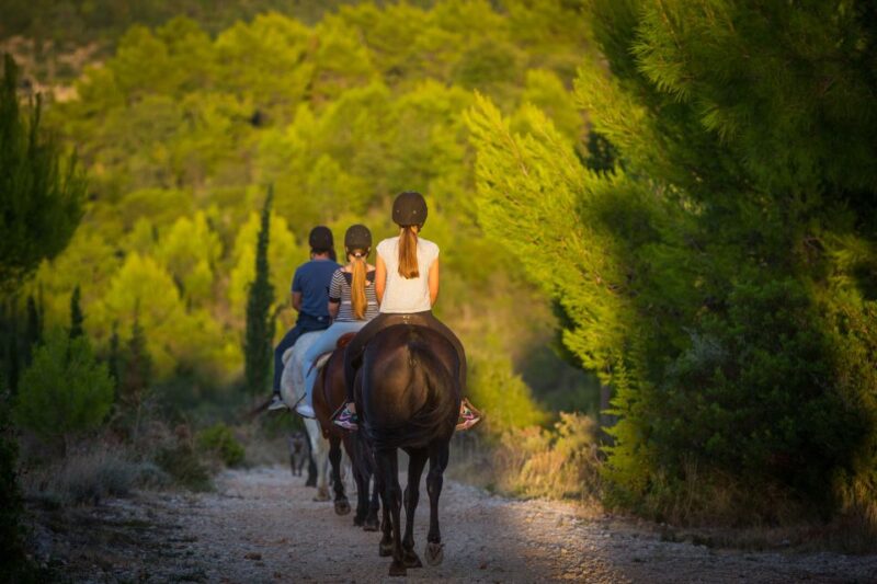 Dubrovnik Kojan Koral: Horseback Riding - Good To Know