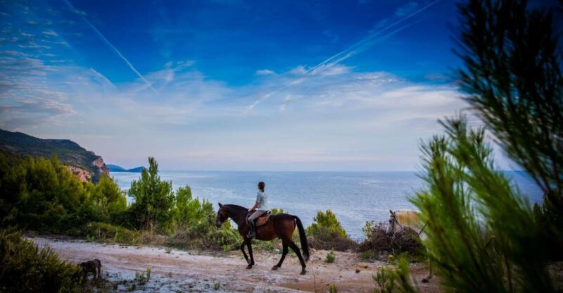 Dubrovnik Kojan Koral: Horseback Riding - Experience Details