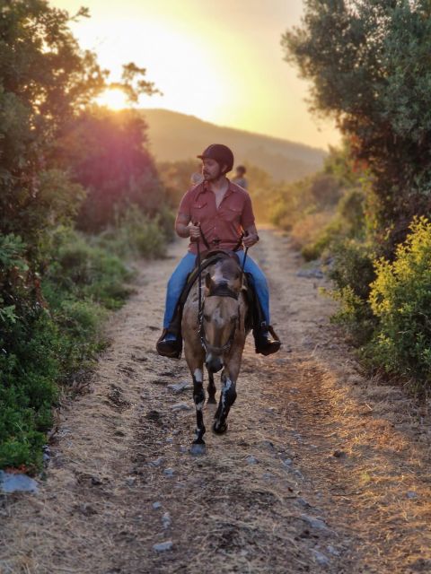 Dubrovnik Kojan Koral: Horseback Riding - Itinerary Highlights