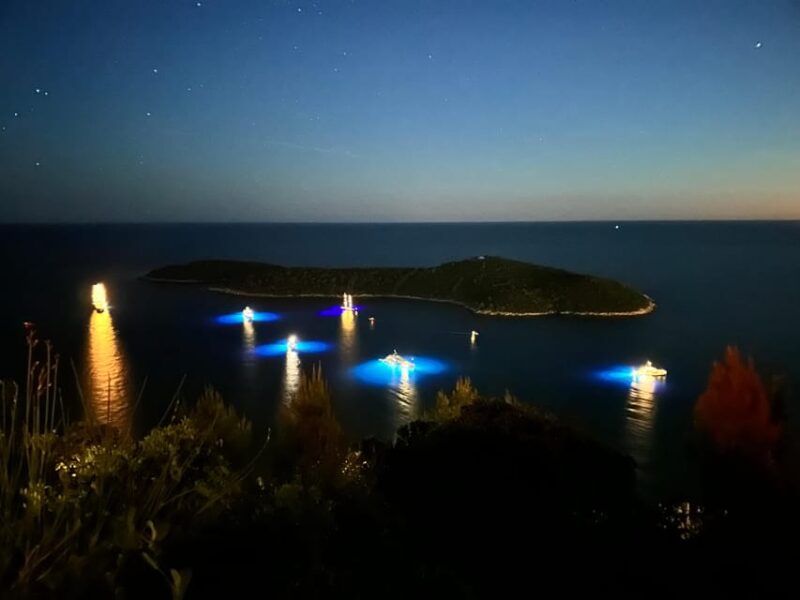 Dubrovnik Night Drive: Lights of the Adriatic - Booking Information