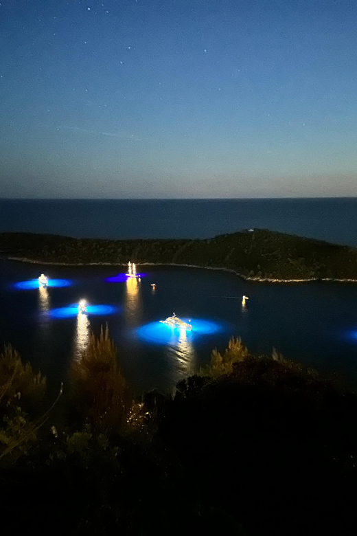 Dubrovnik Night Drive: Lights of the Adriatic - Reflecting Skyline