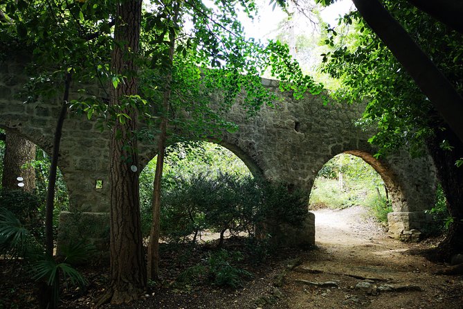 Dubrovnik Panorama & Arboretum Trsteno Tour by CRUISER TAXI - Exploring Arboretum Trsteno