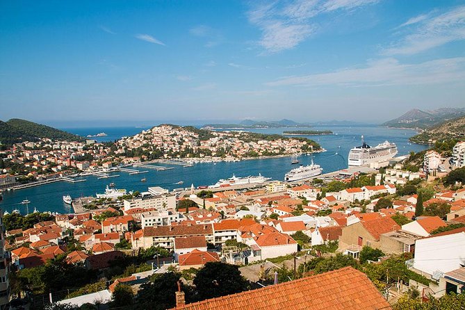 Dubrovnik Panorama & Arboretum Trsteno Tour by CRUISER TAXI - Transportation and Amenities