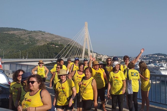 Dubrovnik Panorama Sightseeing With Tour Guide in Minivan - Exploring Mount Srđs Imperial Fort
