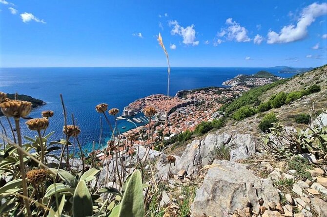 Dubrovnik Panoramic Sightseeing Tour With Guide (Minivan) - Group Size