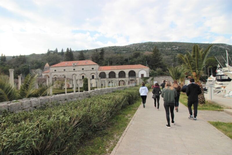 Dubrovnik: Private Cooking Experience With Wine Tasting - Winery Visit in Peljesac