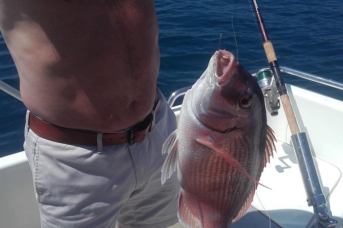 Dubrovnik Private Fishing Charter for up to Four - Positive Customer Feedback