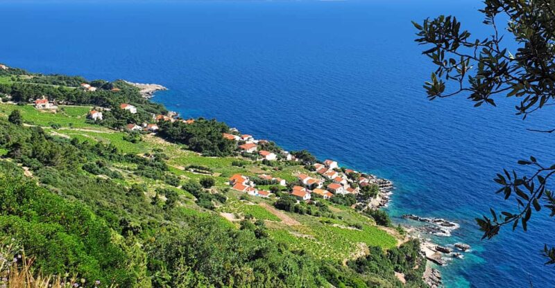 Dubrovnik Private Wine Tasting Tour To Peljesac - Wineries and Tastings