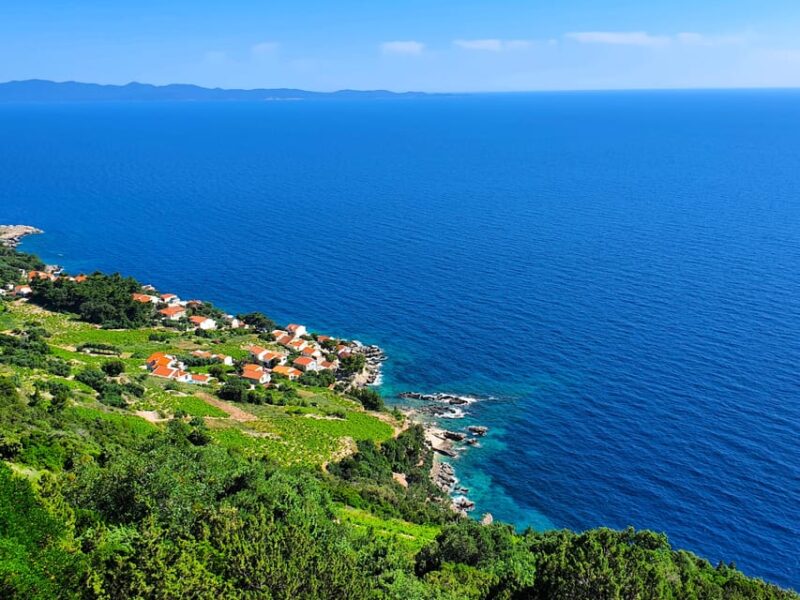 Dubrovnik Private Wine Tasting Tour To Peljesac - Culinary Experience