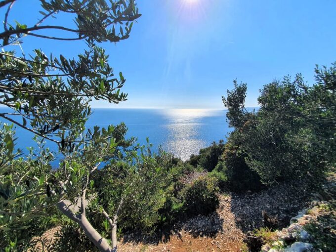 Dubrovnik Private Wine Tasting Tour To Peljesac - Professional Guide