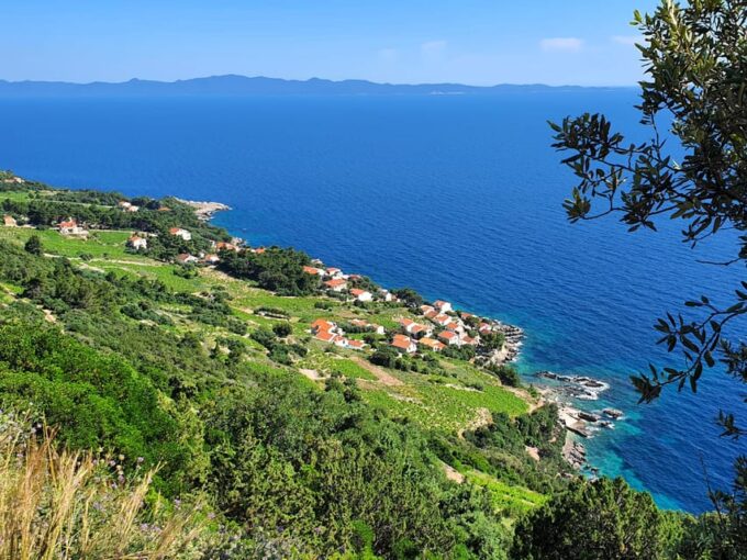 Dubrovnik Private Wine Tasting Tour To Peljesac - Inclusions and Logistics