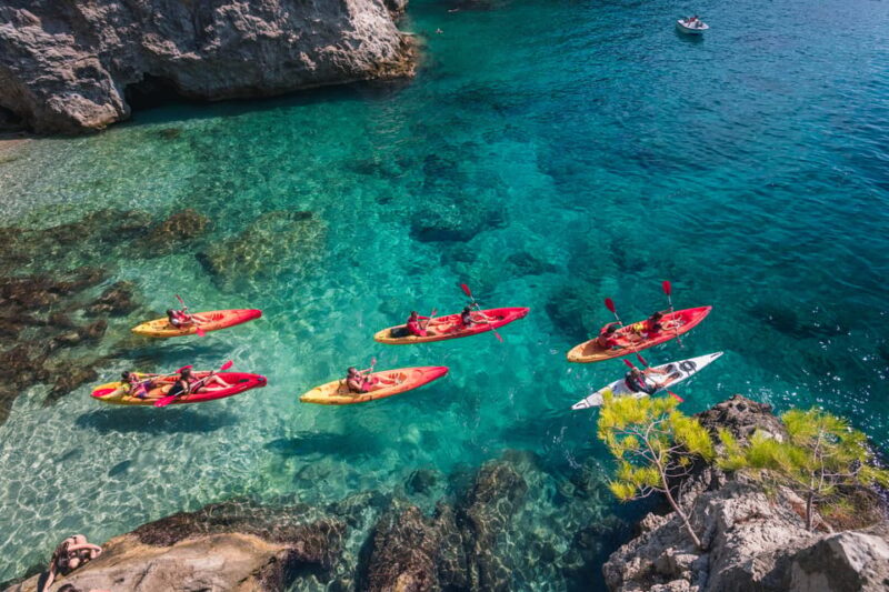Dubrovnik: Sea Kayaking Morning, Daytime, or Sunset Tours - Important Information and Safety