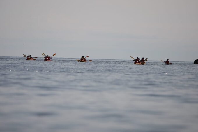 Dubrovnik: Sea Kayaking Morning, Daytime, or Sunset Tours - Cancellation Policy and Refunds