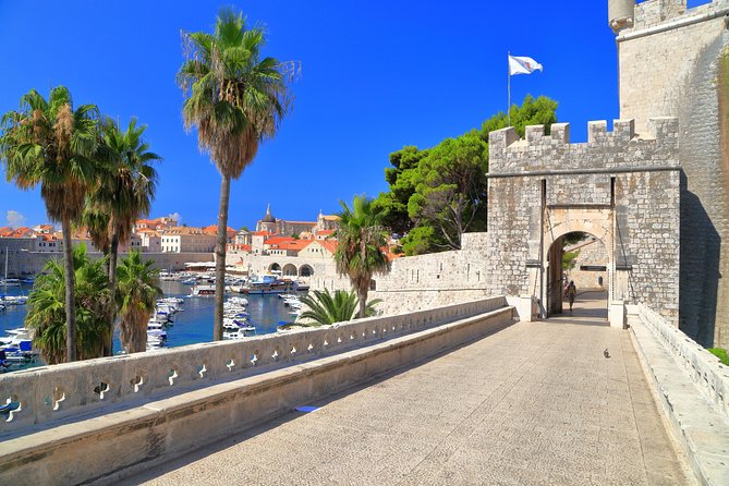 Dubrovnik Sightseeing Tour - Accessibility and Fitness