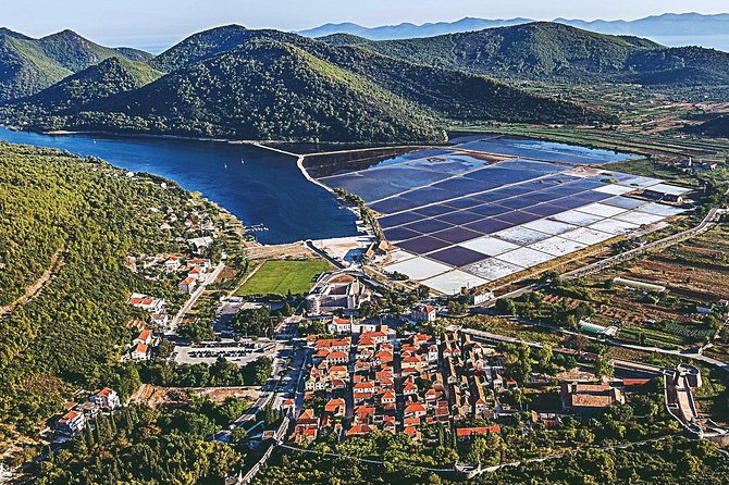 Dubrovnik: Ston Wine and Oyster Tasting - Trsteno Arboretum: A Game of Thrones Filming Location