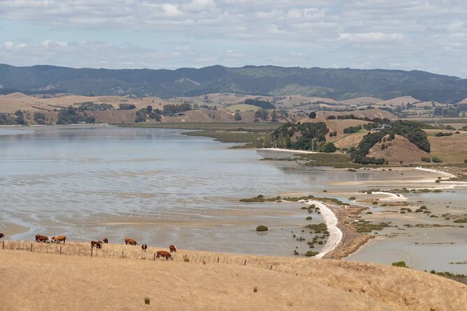 Duder Regional Park Half-Day Walking Tour - Meeting and End Point