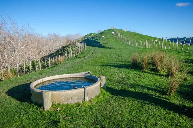 Duder Regional Park Half-Day Walking Tour - Getting There