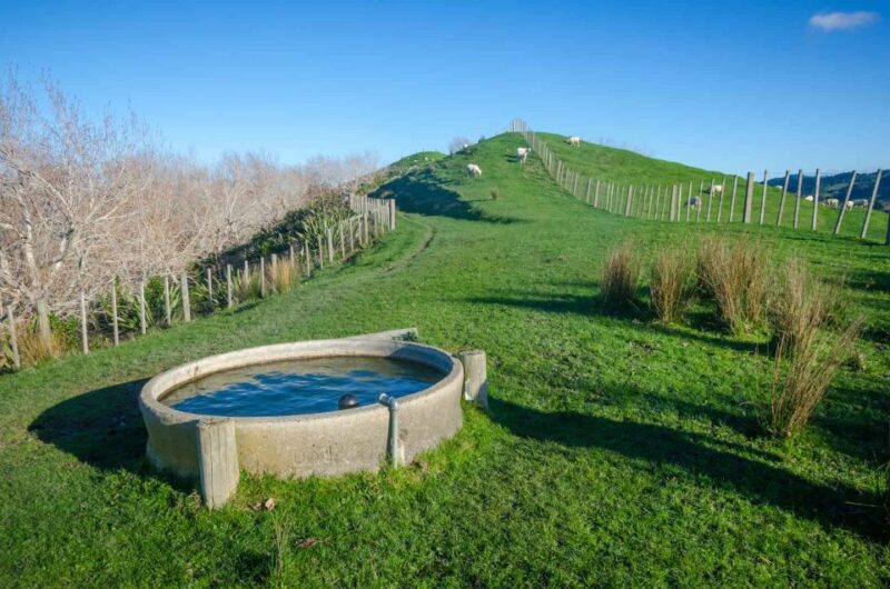 Duder Regional Park Walking Tours - Conservation and Education