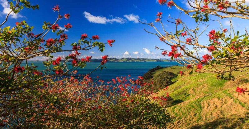 Duder Regional Park Walking Tours - Customer Reviews
