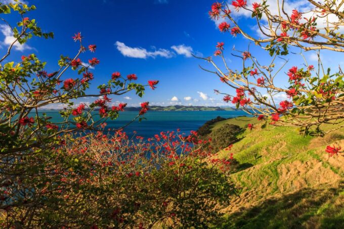 Duder Regional Park Walking Tours - How to Book