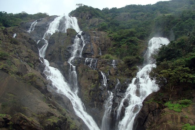 Dudhsagar Waterfall Wildlife & Spice Plantation Tour in Goa - Spice Plantation Visit