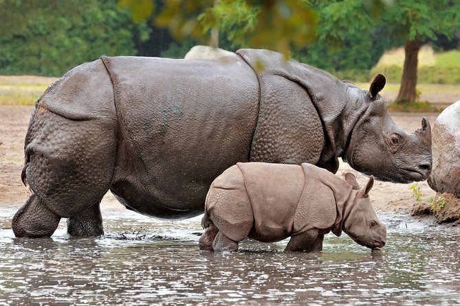 Dudhwa Rhinoceros and Tiger Safari - Meeting and Pickup Details