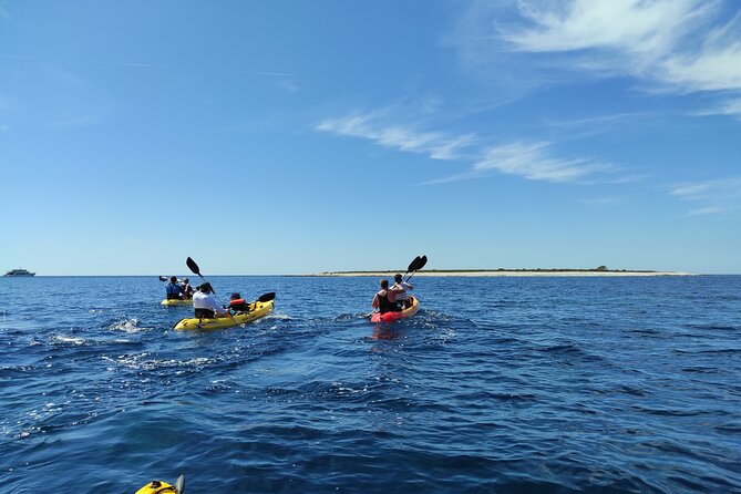 Dugi Otok - Half Day Kayak Adventure - Small Group for Close Attention