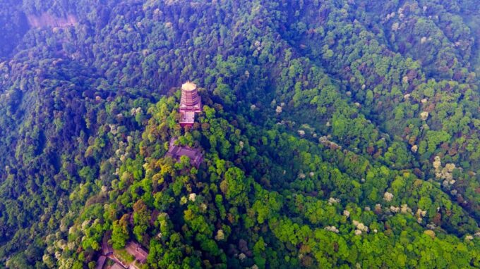 Dujiangyan: Irrigation System & Qingcheng Mountain Day Tour - Customer Reviews