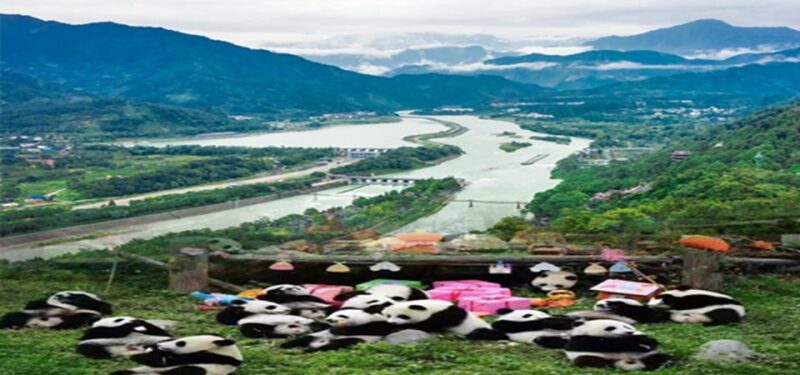 Dujiangyan Panda Base and Irrigation System Park Day Tour - Important Information