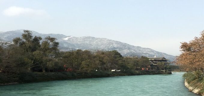 Dujiangyan Panda Base and Irrigation System Park Day Tour - Panda Observation and Bookstore